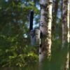 Hikmicro M15 Vadkamera Fotócsapda
