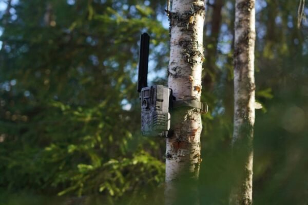 Hikmicro M15 Vadkamera Fotócsapda